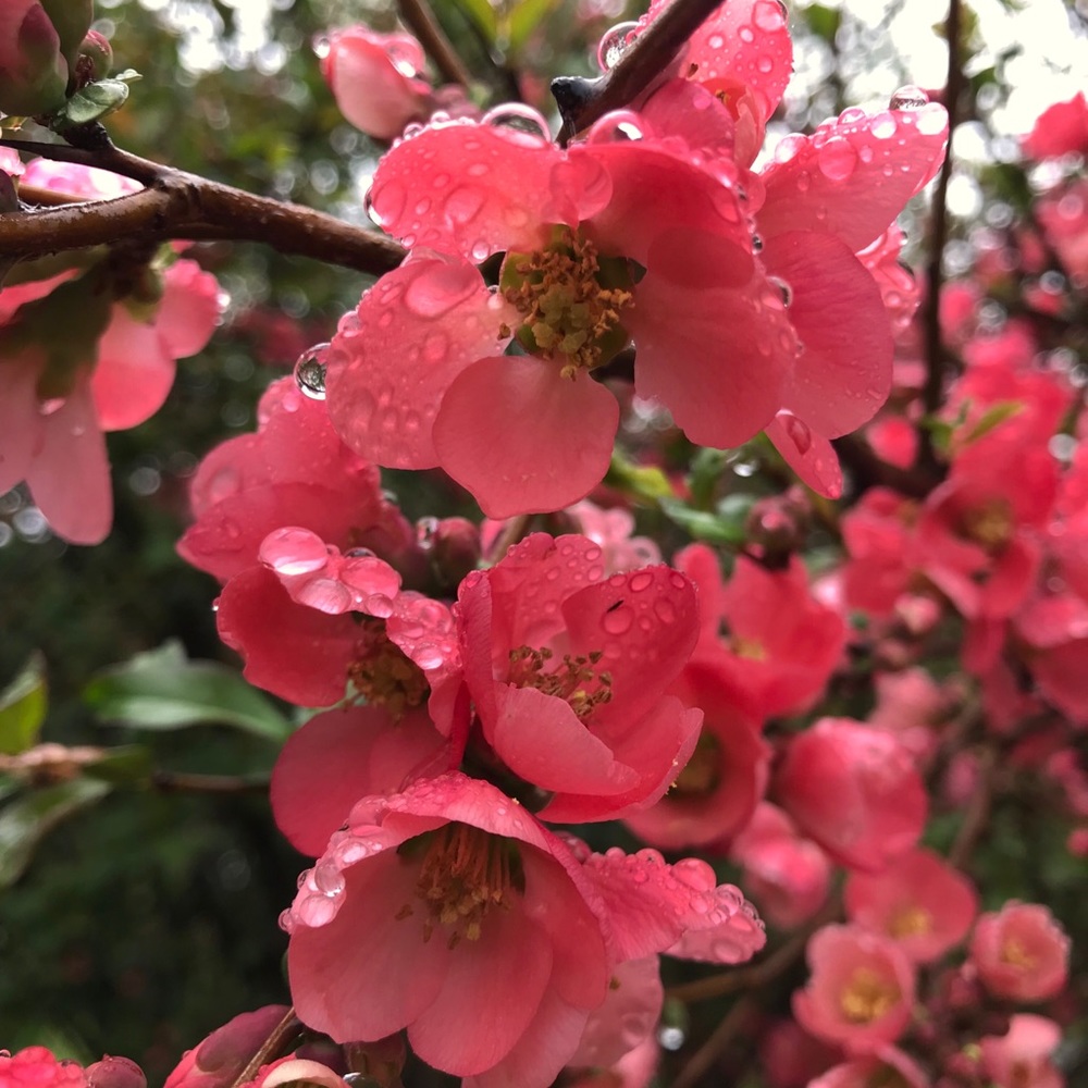 Meet your Posher, Katarina